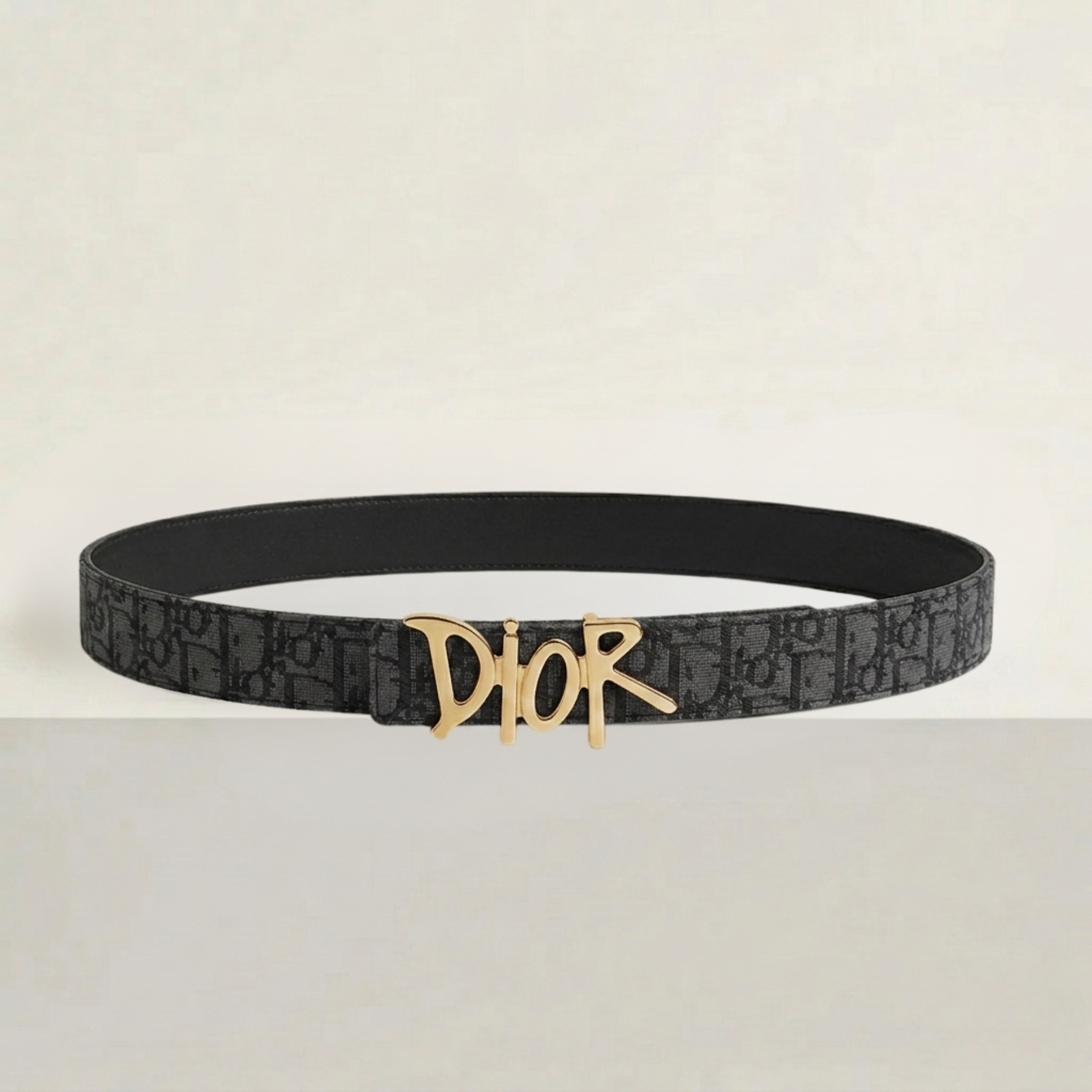 Dior - Oblique Signature Buckle